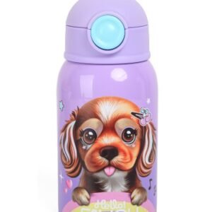 BOTELLA CHIMOLA DE ACERO INOXIDABLE TERMICA DE 450 ML CON FUNDA Y TIRA INCLUIDA